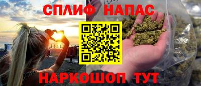 спиды Моздок